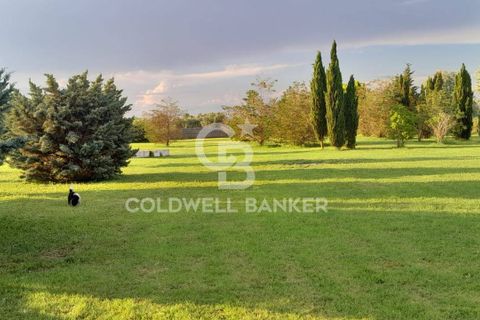 Villa a Canino, Viterbo, Canino - € 445.000 | Ref: CBI105-1176-243 - foto 33