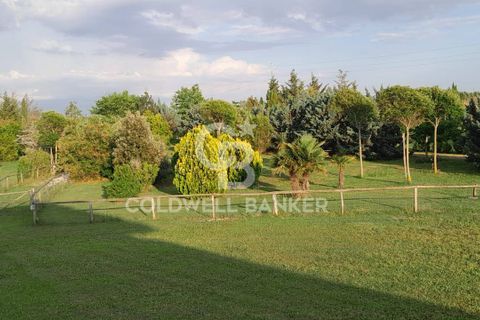 Villa a Canino, Viterbo, Canino - € 445.000 | Ref: CBI105-1176-243 - foto 34