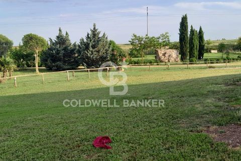 Villa a Canino, Viterbo, Canino - € 445.000 | Ref: CBI105-1176-243 - foto 35