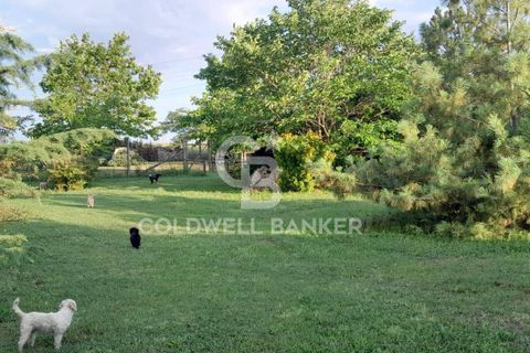 Villa a Canino, Viterbo, Canino - € 445.000 | Ref: CBI105-1176-243 - foto 36