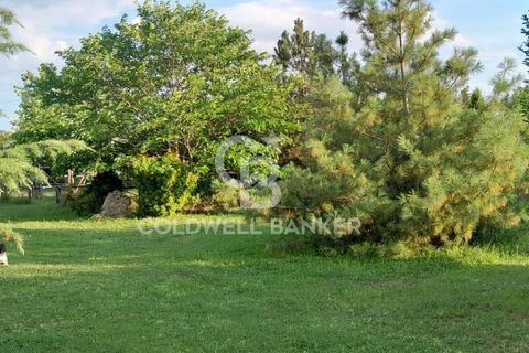 Villa a Canino, Viterbo, Canino - € 445.000 | Ref: CBI105-1176-243 - foto 37