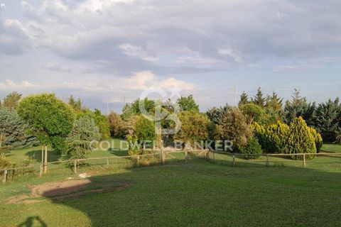 Villa a Canino, Viterbo, Canino - € 445.000 | Ref: CBI105-1176-243 - foto 38