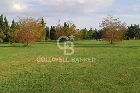 Villa a Canino, Viterbo, Canino - € 445.000 | Ref: CBI105-1176-243 - foto 39