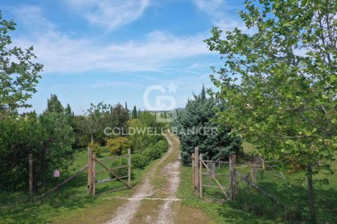 Villa a Canino, Viterbo, Canino - € 445.000 | Ref: CBI105-1176-243 - foto 43