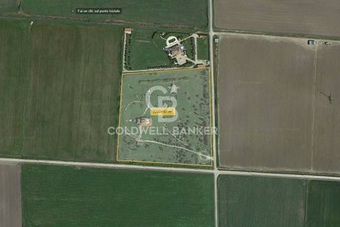 Villa a Canino, Viterbo, Canino - € 445.000 | Ref: CBI105-1176-243 - foto 44