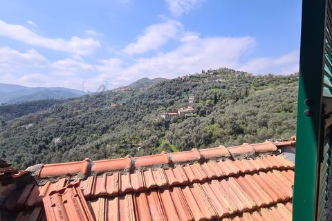 Landejendom i Casanova Lerrone, Savona, Casanova Lerrone - € 69.000 | Ref: 930 - foto 36