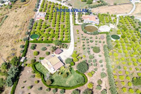 Villa a Avola, Siracusa, Avola - € 485.000 | Ref: 1160 - foto 12