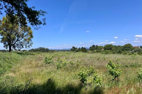 Helårsgrund i Tomar, Santarem, Tomar - € 55.000 | Ref: TL017 - foto 1