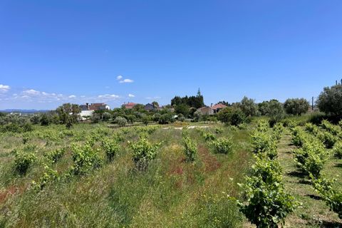 Helårsgrund i Tomar, Santarem, Tomar - € 55.000 | Ref: TL017 - foto 2