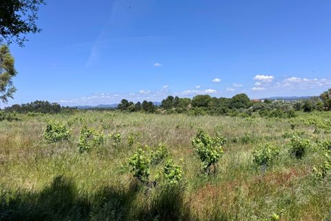 Helårsgrund i Tomar, Santarem, Tomar - € 55.000 | Ref: TL017 - foto 3