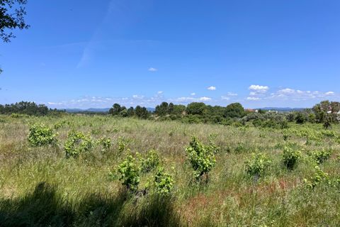 Helårsgrund i Tomar, Santarem, Tomar - € 55.000 | Ref: TL017 - foto 5
