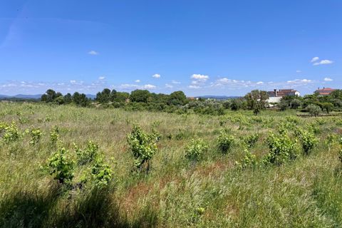 Helårsgrund i Tomar, Santarem, Tomar - € 55.000 | Ref: TL017 - foto 6