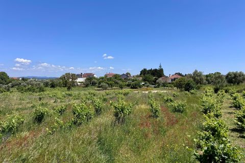 Helårsgrund i Tomar, Santarem, Tomar - € 55.000 | Ref: TL017 - foto 7