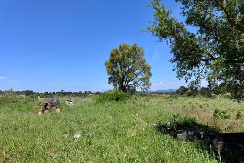 Helårsgrund i Tomar, Santarem, Tomar - € 55.000 | Ref: TL017 - foto 9