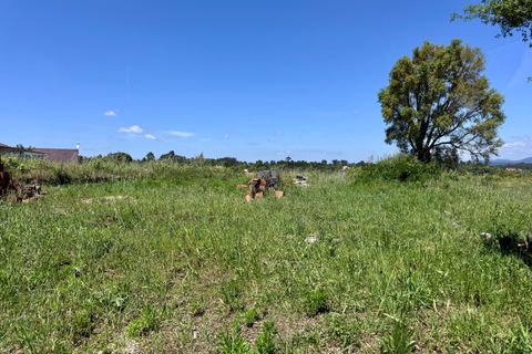 Helårsgrund i Tomar, Santarem, Tomar - € 55.000 | Ref: TL017 - foto 10