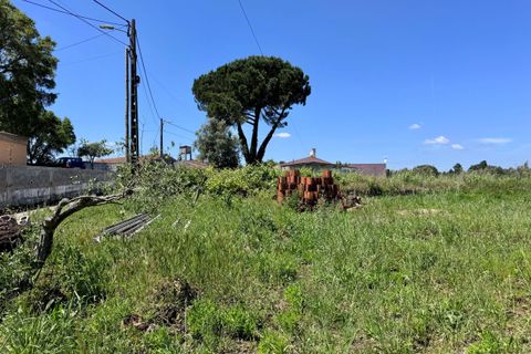 Helårsgrund i Tomar, Santarem, Tomar - € 55.000 | Ref: TL017 - foto 11