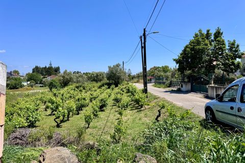 Helårsgrund i Tomar, Santarem, Tomar - € 55.000 | Ref: TL017 - foto 12