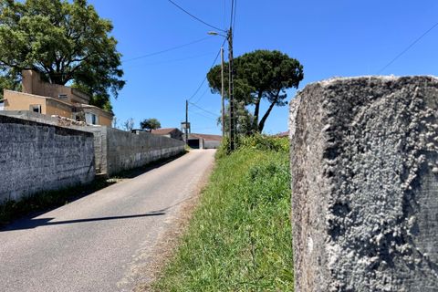 Helårsgrund i Tomar, Santarem, Tomar - € 55.000 | Ref: TL017 - foto 13