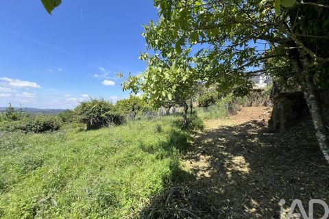 Byhus i Penela, Coimbra, Penela - € 25.000 | Ref: 141345 - foto 8