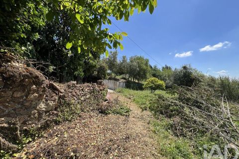 Byhus i Penela, Coimbra, Penela - € 25.000 | Ref: 141345 - foto 9