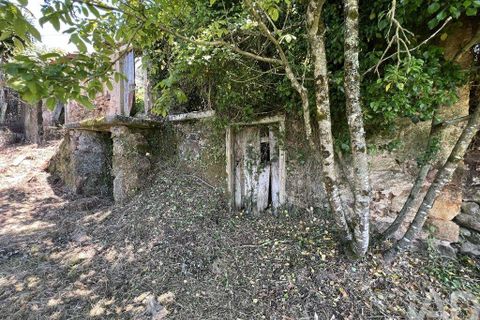 Byhus i Penela, Coimbra, Penela - € 25.000 | Ref: 141345 - foto 10
