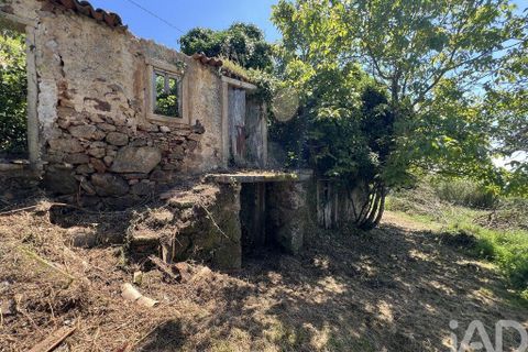 Byhus i Penela, Coimbra, Penela - € 25.000 | Ref: 141345 - foto 13