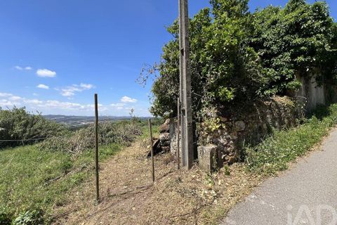 Byhus i Penela, Coimbra, Penela - € 25.000 | Ref: 141345 - foto 16