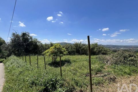 Byhus i Penela, Coimbra, Penela - € 25.000 | Ref: 141345 - foto 19
