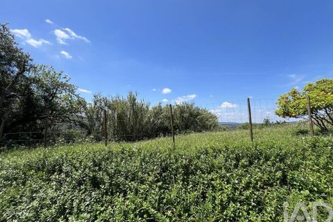 Byhus i Penela, Coimbra, Penela - € 25.000 | Ref: 141345 - foto 23