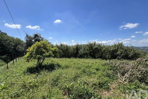 Byhus i Penela, Coimbra, Penela - € 25.000 | Ref: 141345 - foto 25