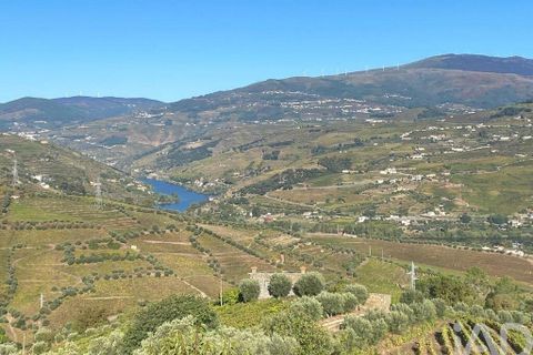 Byhus i Lamego, Viseu, Lamego - € 1.840.000 | Ref: 141960 - foto 18