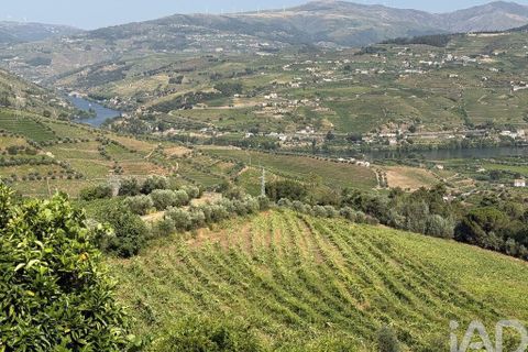 Byhus i Lamego, Viseu, Lamego - € 1.840.000 | Ref: 141960 - foto 19