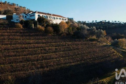 Byhus i Lamego, Viseu, Lamego - € 1.840.000 | Ref: 141960 - foto 23