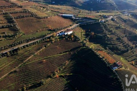 Byhus i Lamego, Viseu, Lamego - € 1.840.000 | Ref: 141960 - foto 24