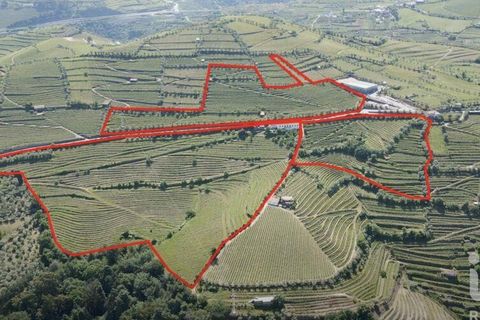 Byhus i Lamego, Viseu, Lamego - € 1.840.000 | Ref: 141960 - foto 30