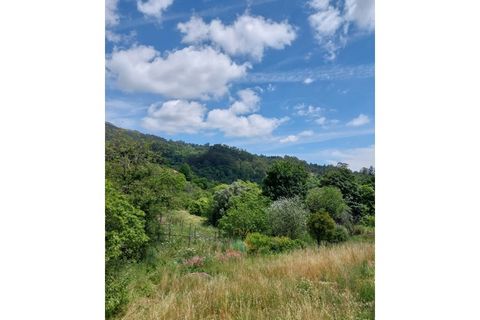 Villa i Ponte de Lima, Viana do Castelo, Ponte de Lima - € 127.500 | Ref: PTL-015-010 - foto 8