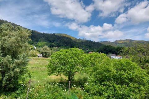 Villa i Ponte de Lima, Viana do Castelo, Ponte de Lima - € 127.500 | Ref: PTL-015-010 - foto 13