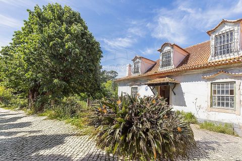 Farm i Tavarede, Coimbra, Tavarede - € 1.920.000 | Ref: PE-123751128-433 - foto 2