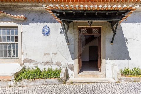 Farm i Tavarede, Coimbra, Tavarede - € 1.920.000 | Ref: PE-123751128-433 - foto 4