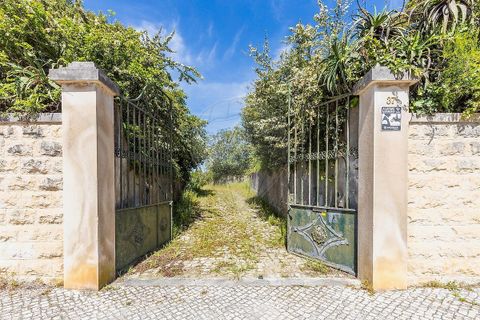 Farm i Tavarede, Coimbra, Tavarede - € 1.920.000 | Ref: PE-123751128-433 - foto 6