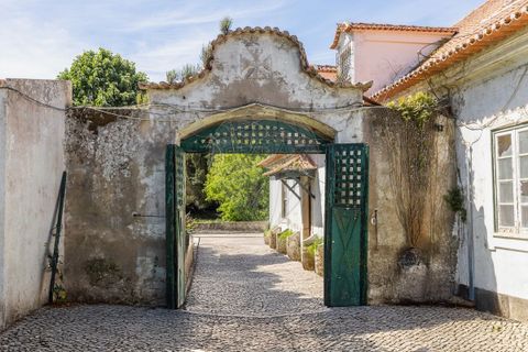 Farm i Tavarede, Coimbra, Tavarede - € 1.920.000 | Ref: PE-123751128-433 - foto 7