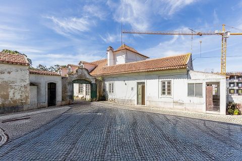 Farm i Tavarede, Coimbra, Tavarede - € 1.920.000 | Ref: PE-123751128-433 - foto 8