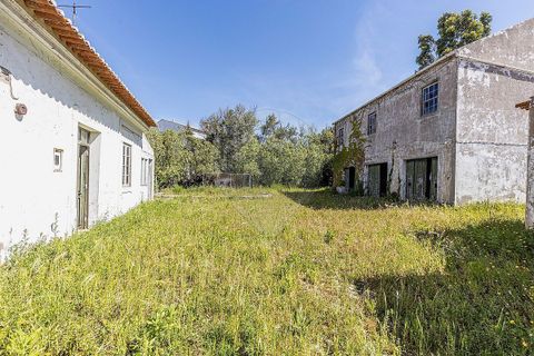 Farm i Tavarede, Coimbra, Tavarede - € 1.920.000 | Ref: PE-123751128-433 - foto 9