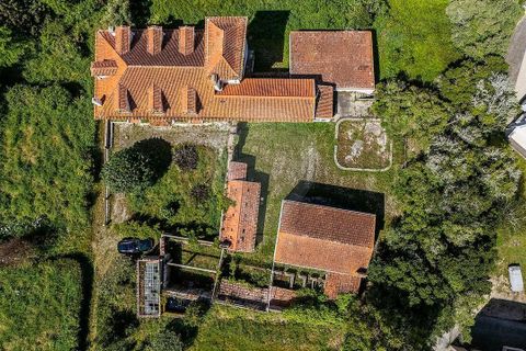 Farm i Tavarede, Coimbra, Tavarede - € 1.920.000 | Ref: PE-123751128-433 - foto 10