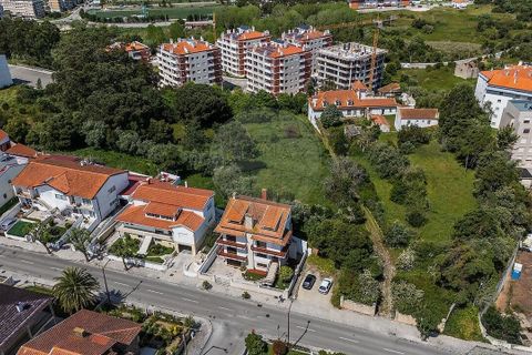 Farm i Tavarede, Coimbra, Tavarede - € 1.920.000 | Ref: PE-123751128-433 - foto 11