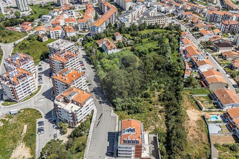 Farm i Tavarede, Coimbra, Tavarede - € 1.920.000 | Ref: PE-123751128-433 - foto 13
