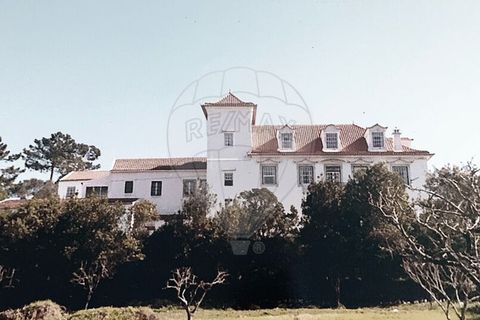 Farm i Tavarede, Coimbra, Tavarede - € 1.920.000 | Ref: PE-123751128-433 - foto 5