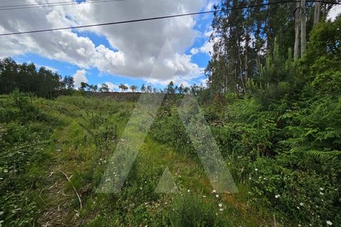 Terra a Barro, Aveiro, Barro - € 150.000 | Ref: 1012278/25 GL - foto 2