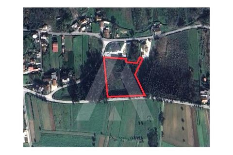 Terra a Barro, Aveiro, Barro - € 150.000 | Ref: 1012278/25 GL - foto 3
