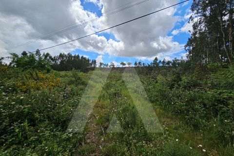Terra a Barro, Aveiro, Barro - € 150.000 | Ref: 1012278/25 GL - foto 4